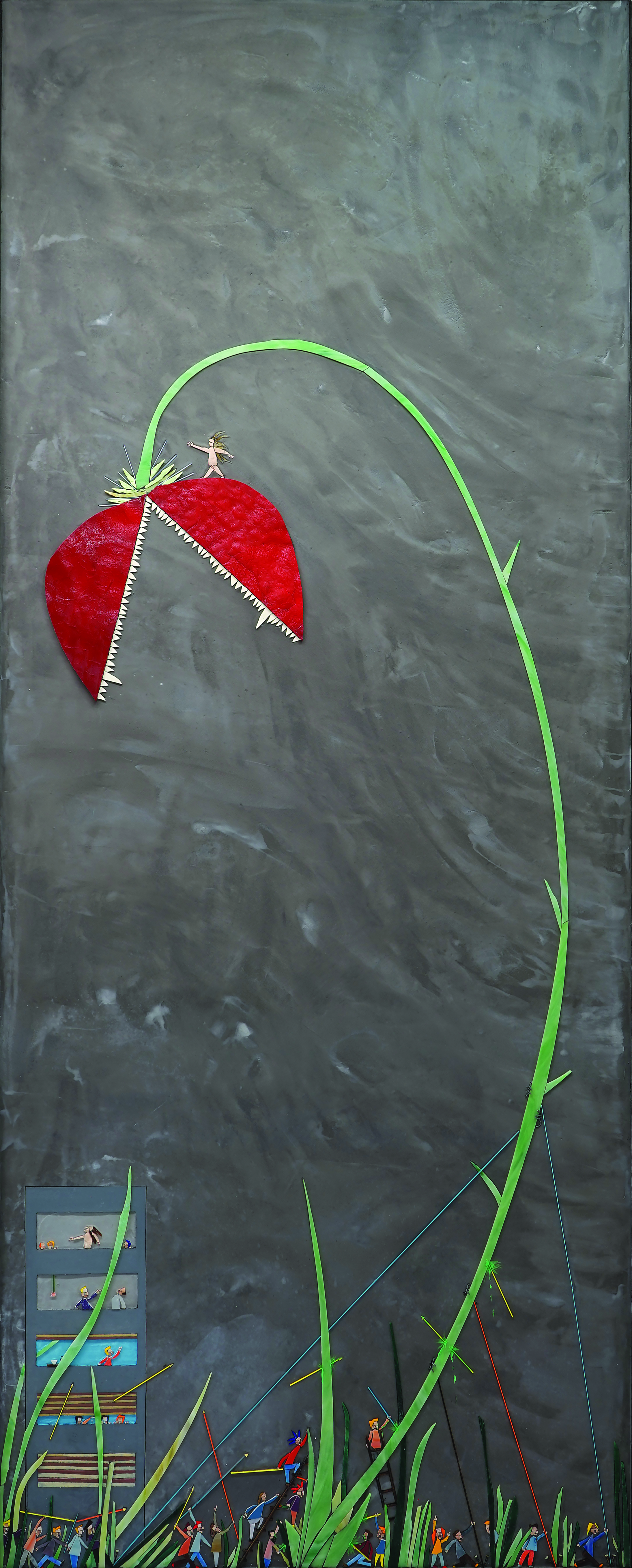 Clorofilla 03